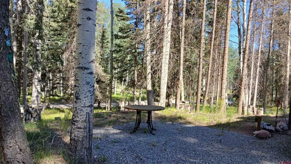 2020 Spruce Road Cimarron, CO 81220