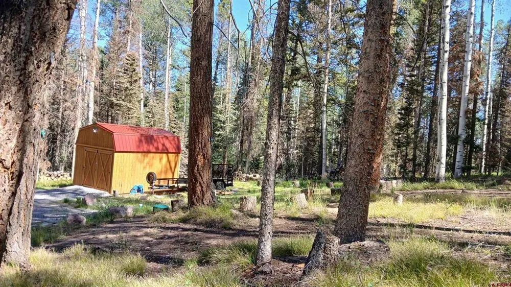 2020 Spruce Road Cimarron, CO 81220