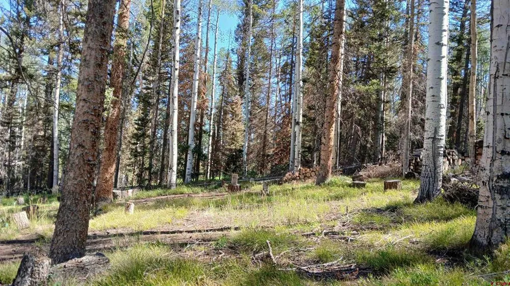 2020 Spruce Road Cimarron, CO 81220