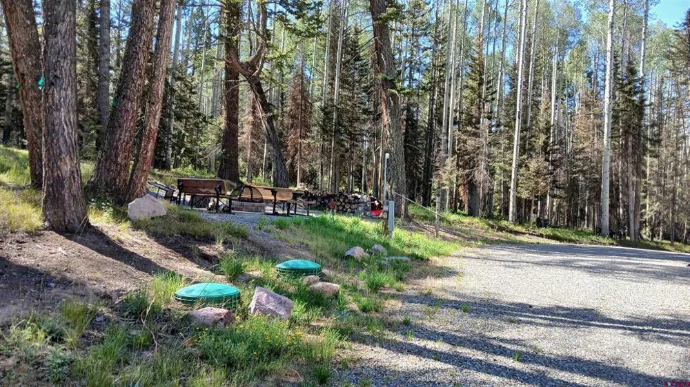 2020 Spruce Road Cimarron, CO 81220