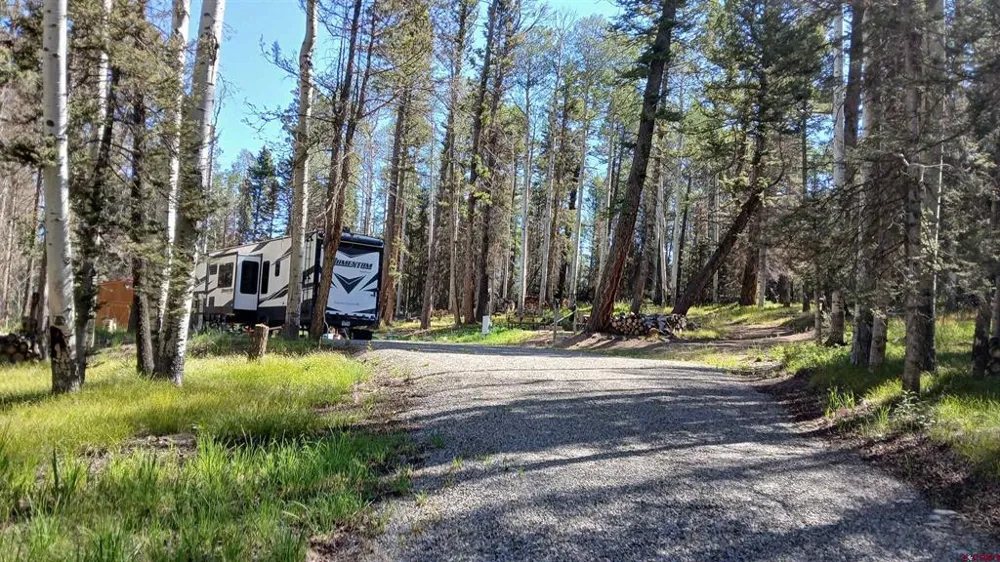 2020 Spruce Road Cimarron, CO 81220