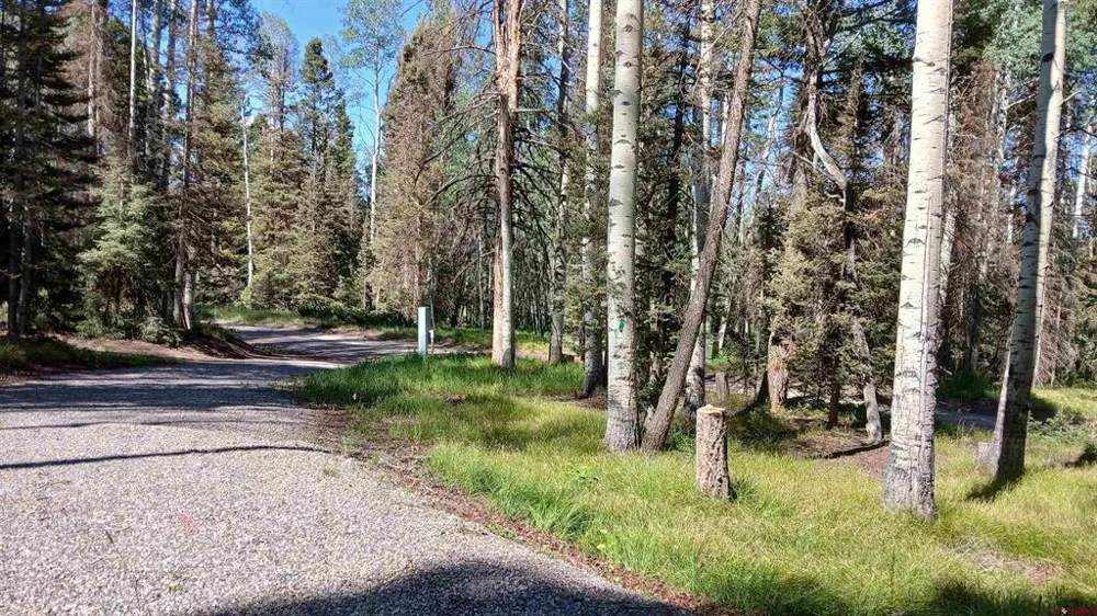 2020 Spruce Road Cimarron, CO 81220