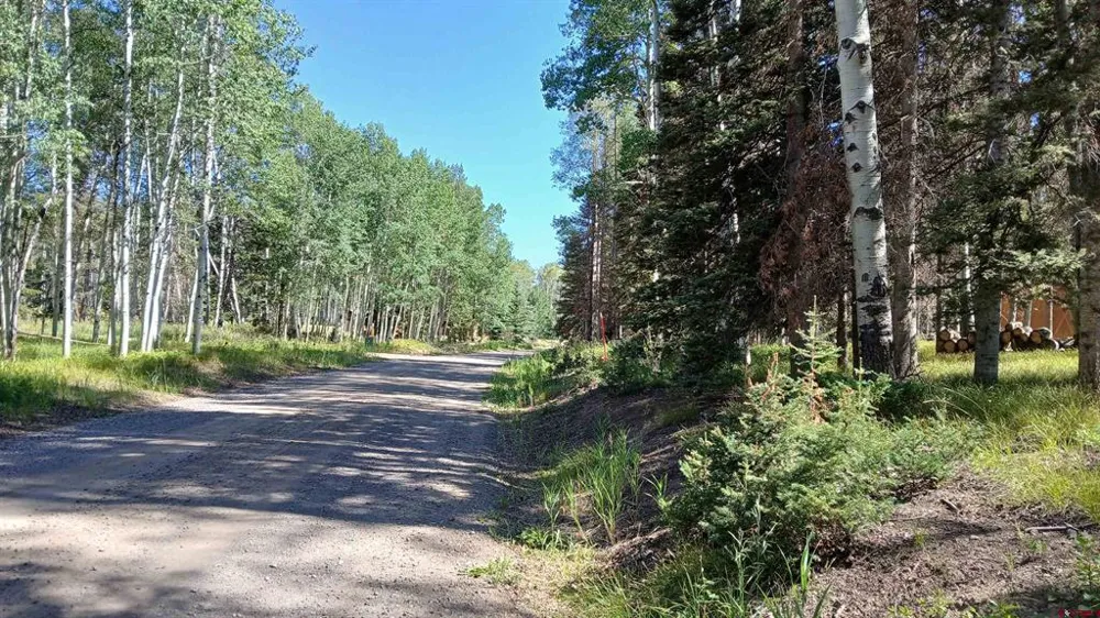 2020 Spruce Road Cimarron, CO 81220