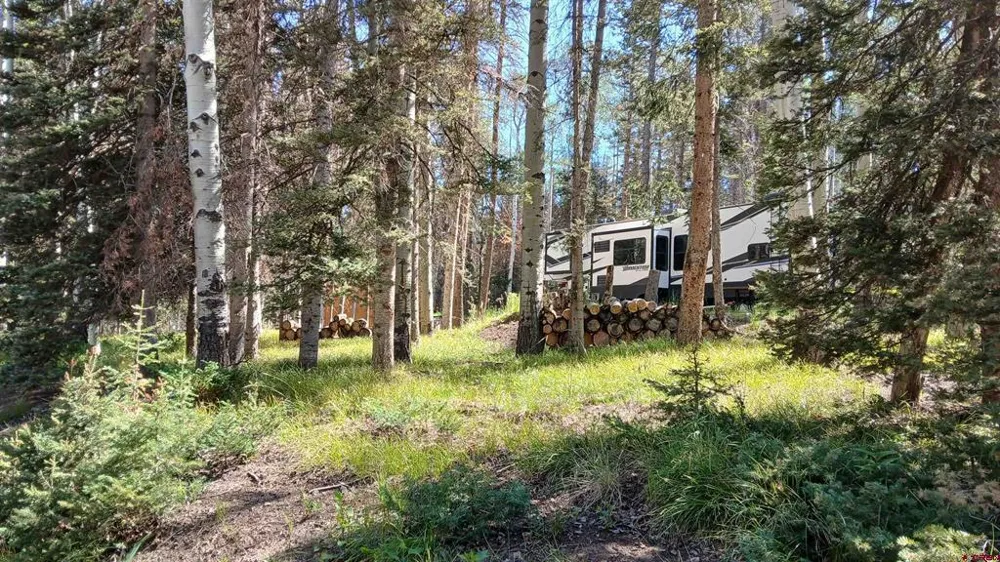 2020 Spruce Road Cimarron, CO 81220