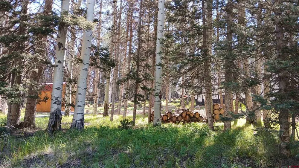 2020 Spruce Road Cimarron, CO 81220
