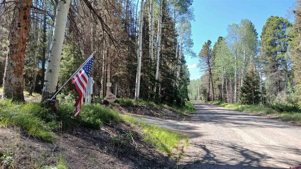 2020 Spruce Road Cimarron, CO 81220