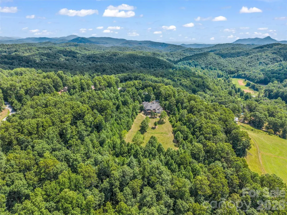 930 Big Raven Lane Saluda, NC 28773