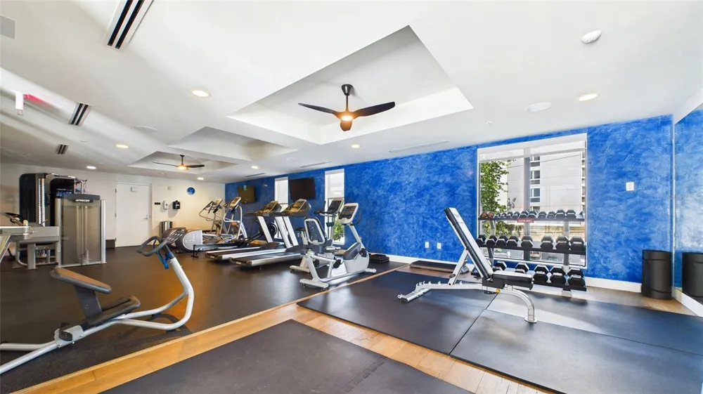 199 DALI BOULEVARD #1106 St Petersburg, FL 33701
