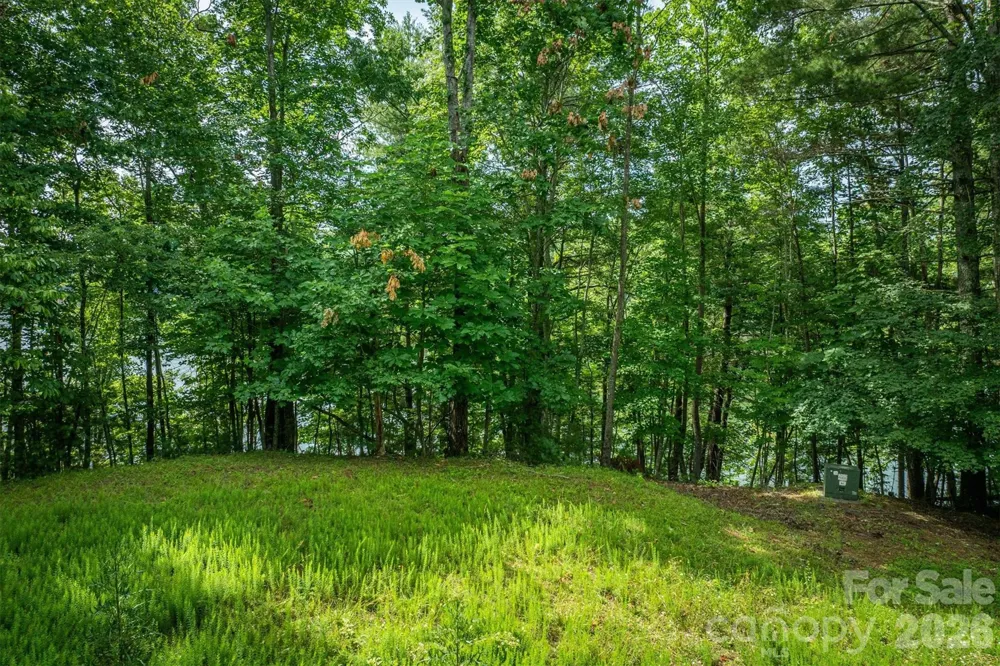 802 Marina Drive #3 Nebo, NC 28761