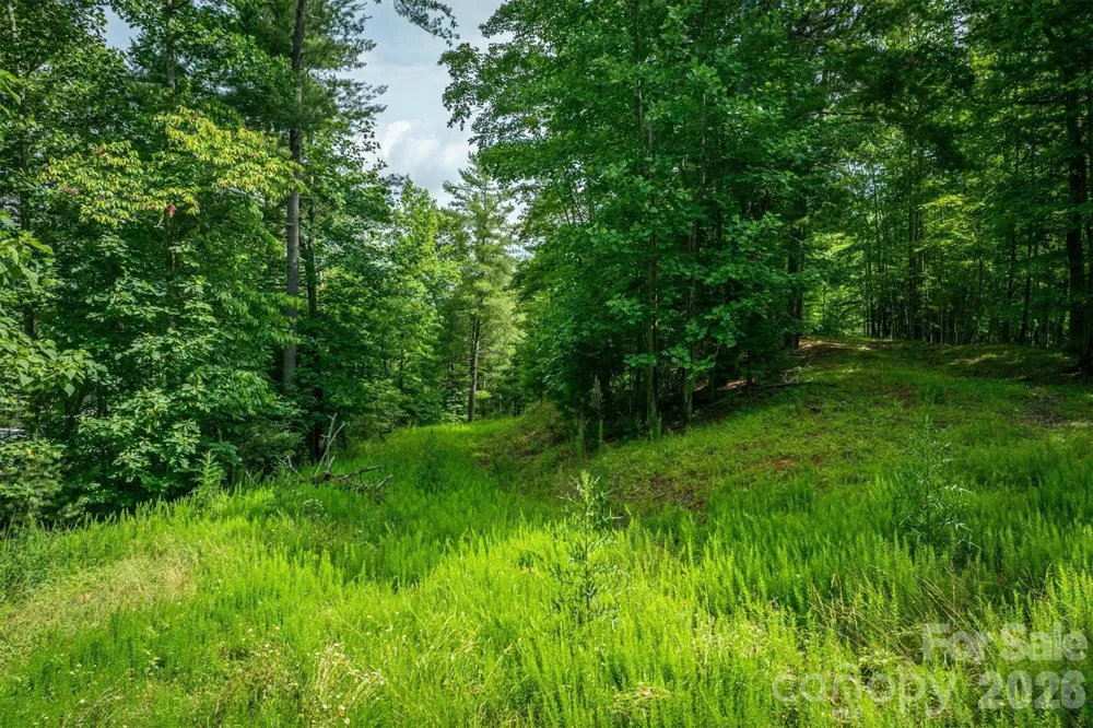 802 Marina Drive #3 Nebo, NC 28761