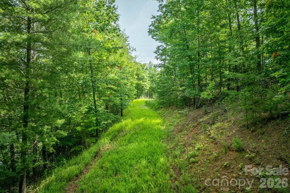 802 Marina Drive #3 Nebo, NC 28761