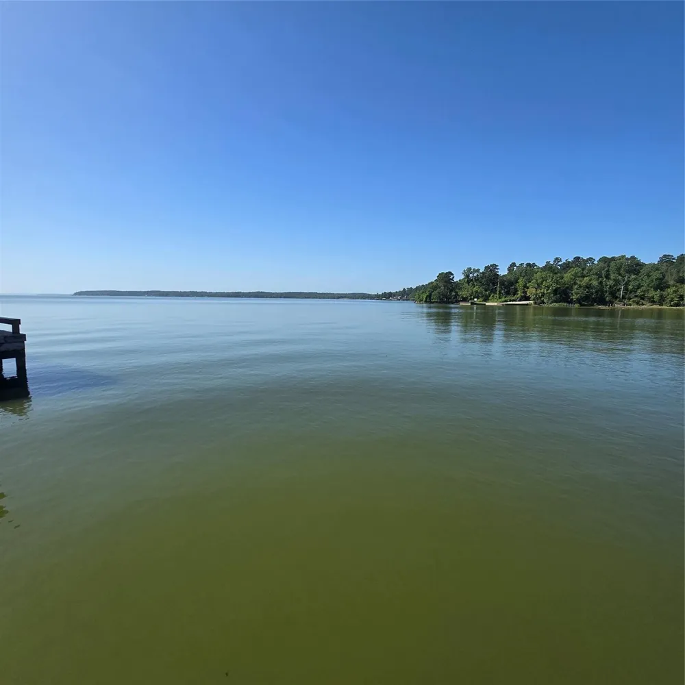 72 Edgewater Way Point Blank, TX 77364