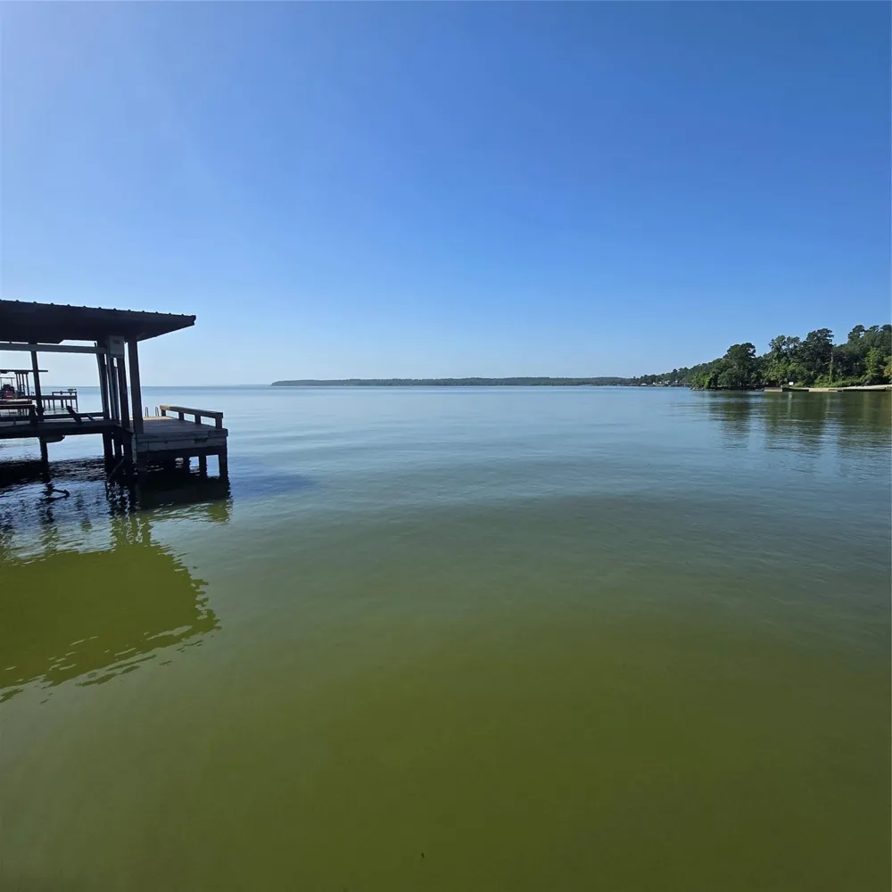 72 Edgewater Way Point Blank, TX 77364