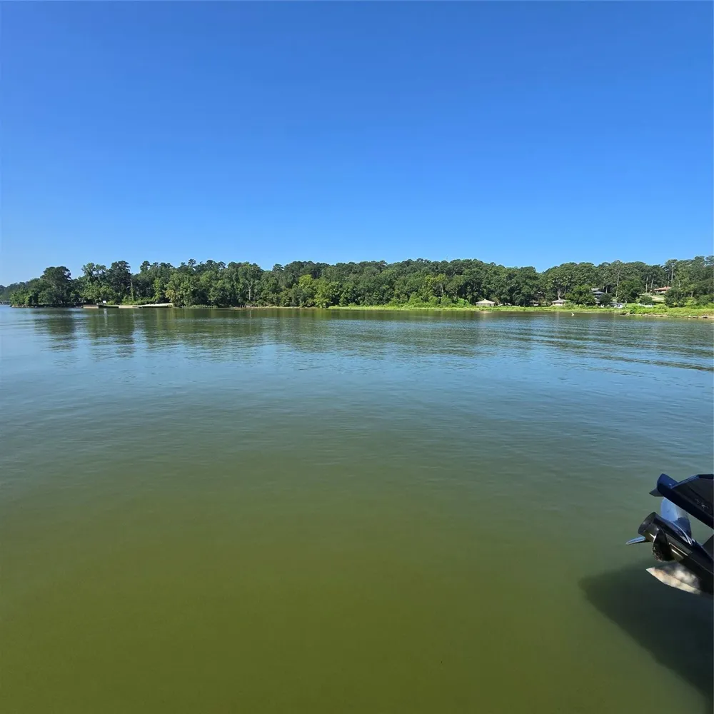 72 Edgewater Way Point Blank, TX 77364