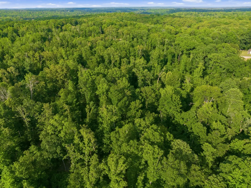 0 Shady Hill Rd Lexington, TN 38351