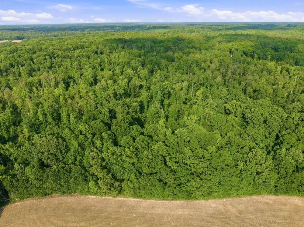 0 Shady Hill Rd Lexington, TN 38351