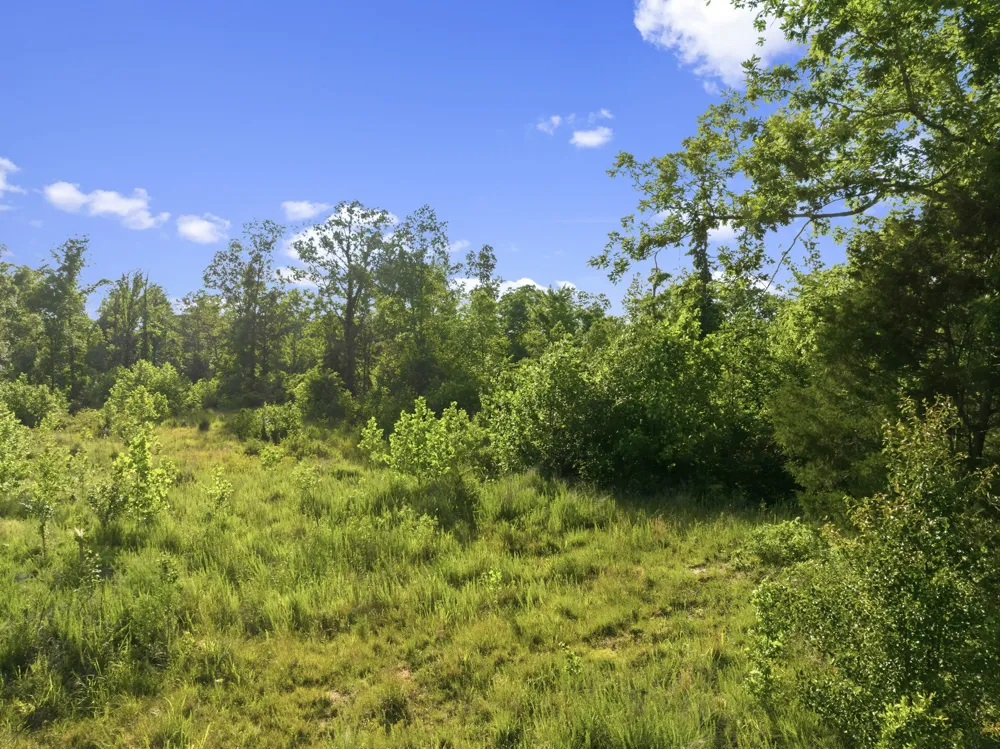 0 Shady Hill Rd Lexington, TN 38351