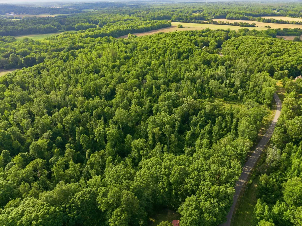 0 Shady Hill Rd Lexington, TN 38351