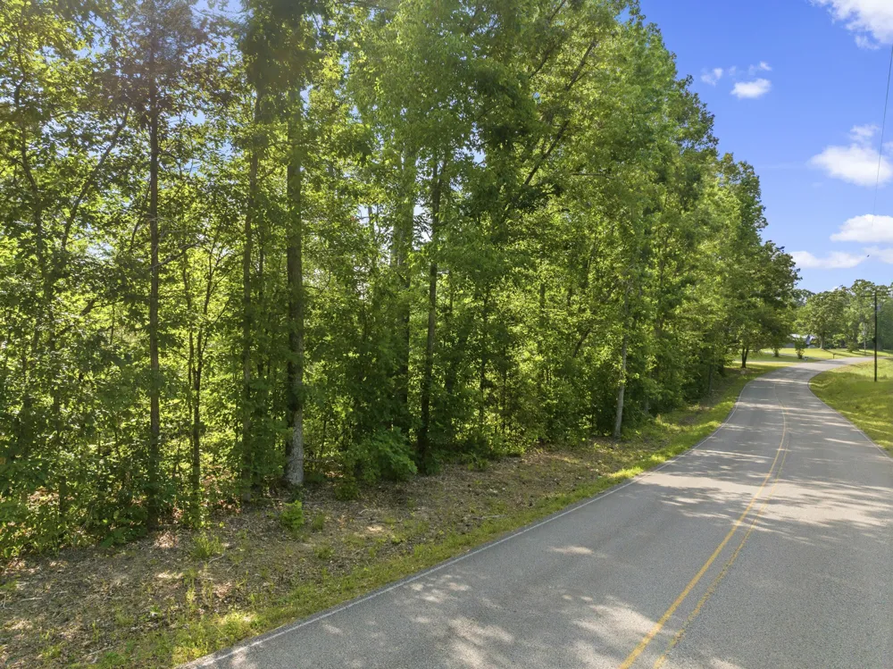 0 Shady Hill Rd Lexington, TN 38351