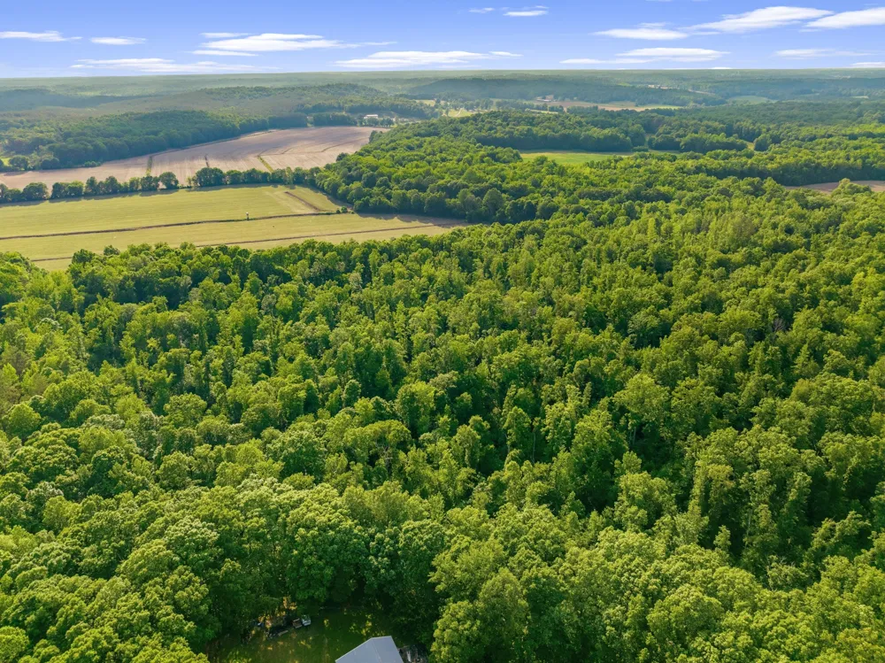 0 Shady Hill Rd Lexington, TN 38351