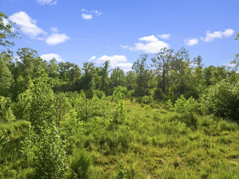 0 Shady Hill Rd Lexington, TN 38351