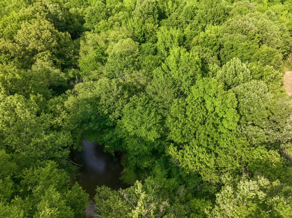 0 Shady Hill Rd Lexington, TN 38351