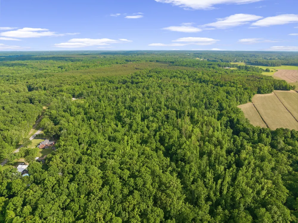 0 Shady Hill Rd Lexington, TN 38351