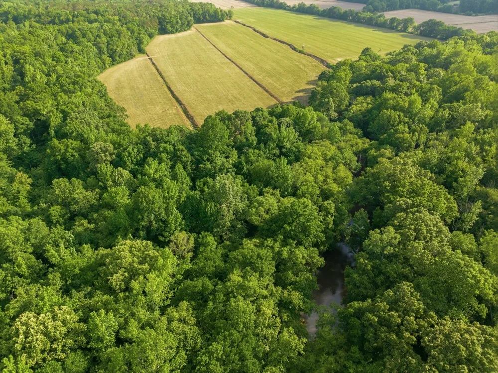 0 Shady Hill Rd Lexington, TN 38351