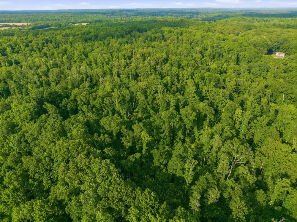 0 Shady Hill Rd Lexington, TN 38351