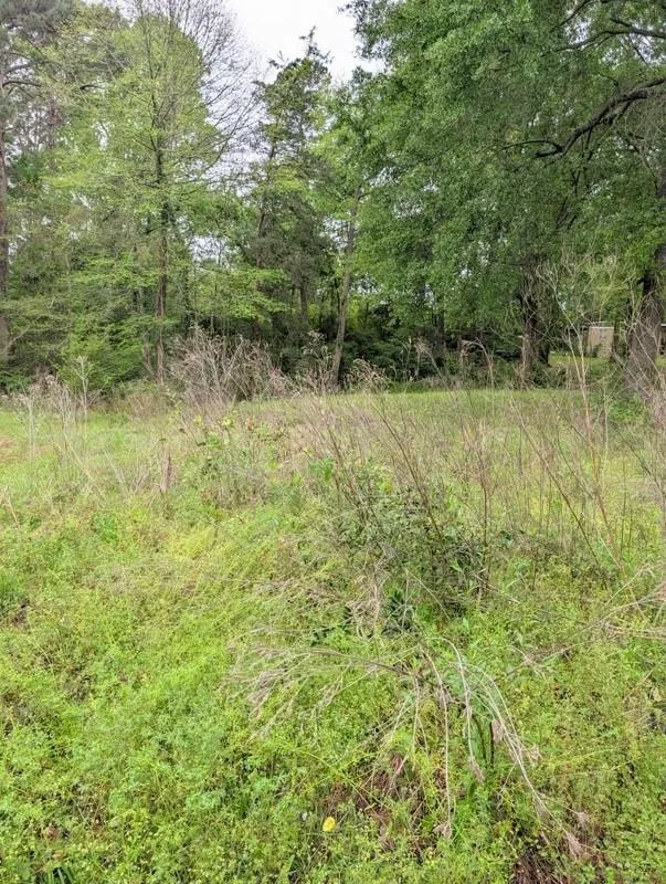 746 Aldredge Circle Pollok, TX 75969
