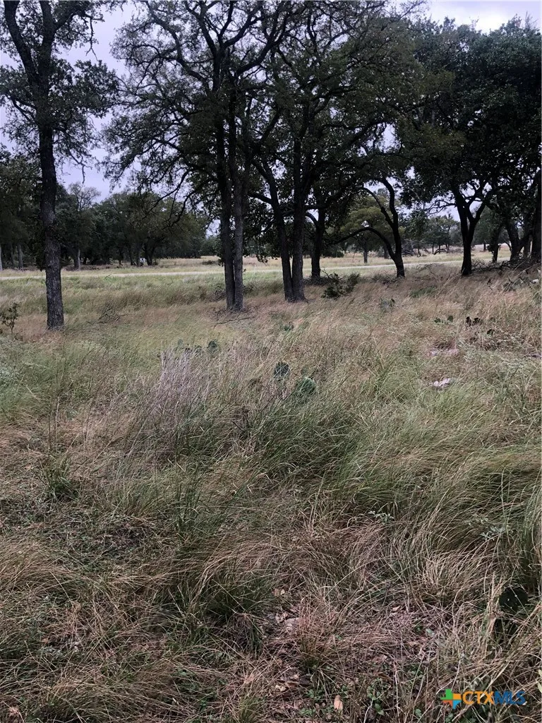 99 Axis Circle Fredericksburg, TX 78624