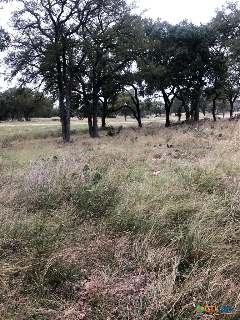 99 Axis Circle Fredericksburg, TX 78624