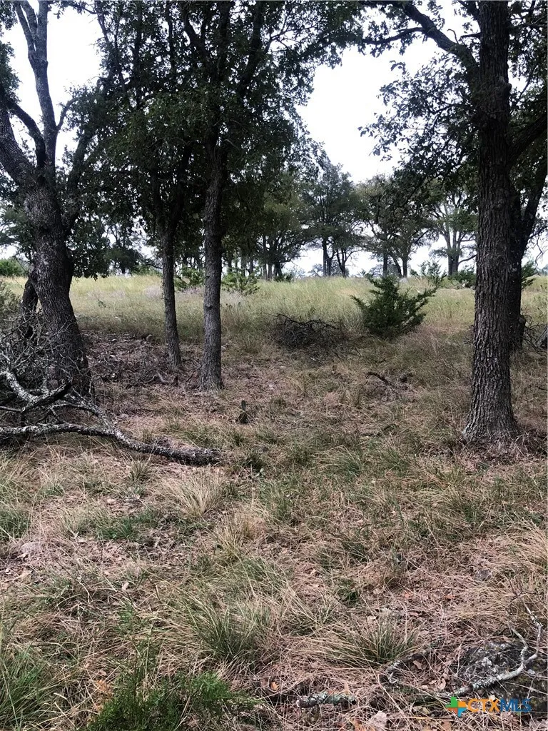 99 Axis Circle Fredericksburg, TX 78624