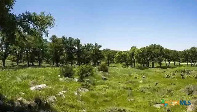 99 Axis Circle Fredericksburg, TX 78624