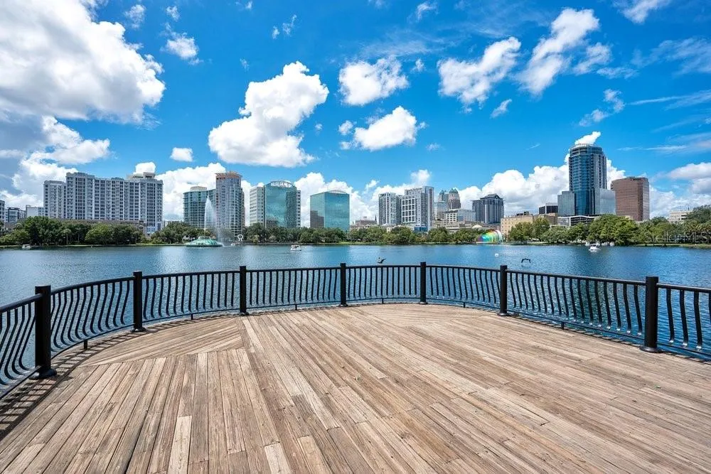 151 E WASHINGTON STREET #217 Orlando, FL 32801
