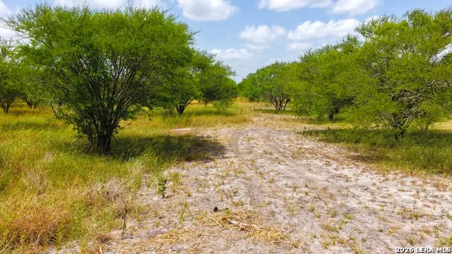 13538 Cr 133 Pawnee, TX 78145