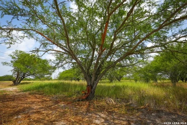 13538 Cr 133 Pawnee, TX 78145