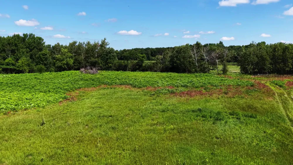 TBD Highland Avenue Big Lake, MN 55309