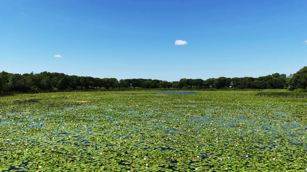 TBD Highland Avenue Big Lake, MN 55309