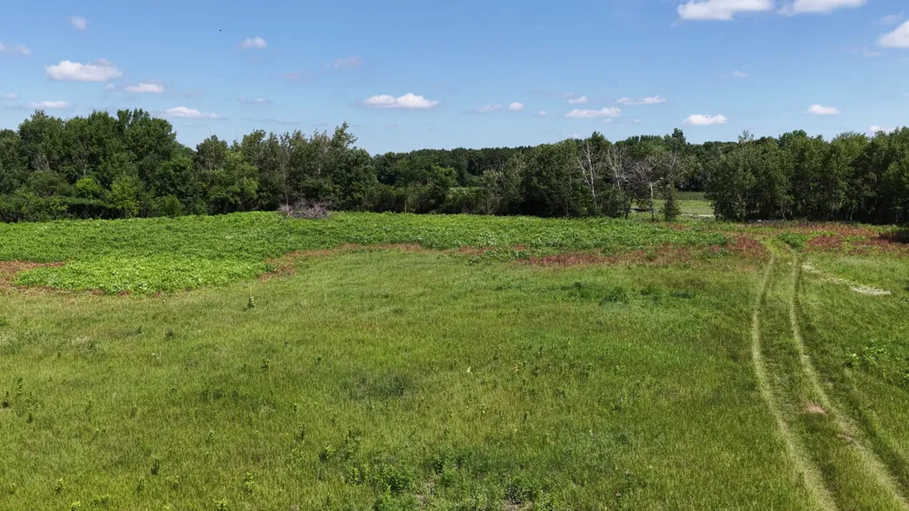 TBD Highland Avenue Big Lake, MN 55309