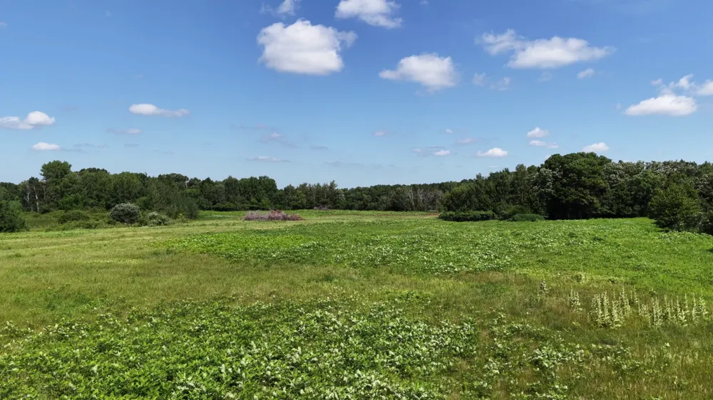 TBD Highland Avenue Big Lake, MN 55309