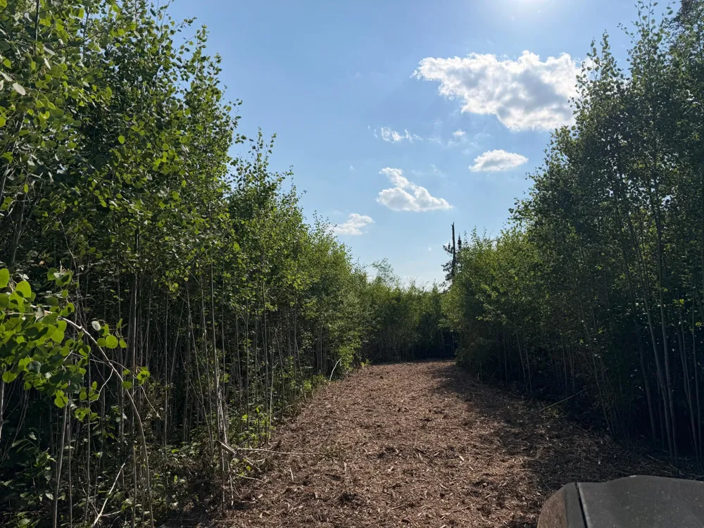 48043 Deerfield Road Kerrick, MN 55756