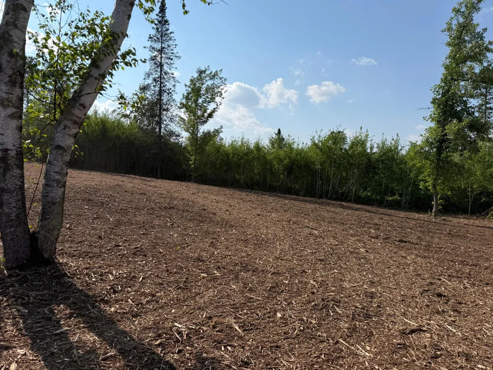 48043 Deerfield Road Kerrick, MN 55756