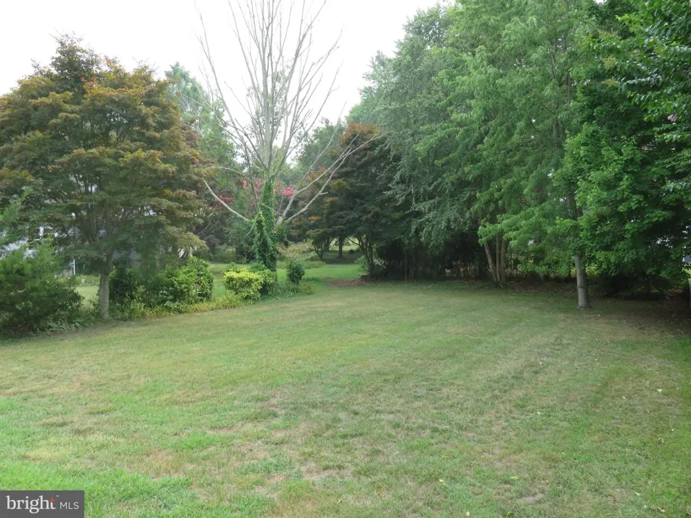 128 MCFEE STREET Lewes, DE 19958