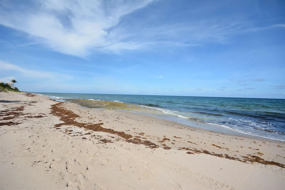 3912 S Ocean Boulevard #501 Highland Beach, FL 33487