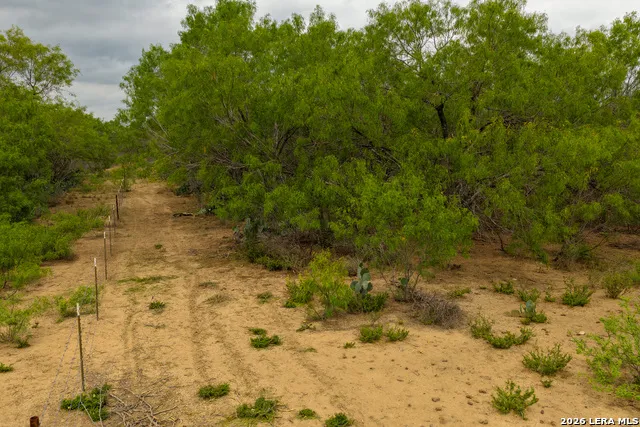 11 FM 1581 Pearsall, TX 78061