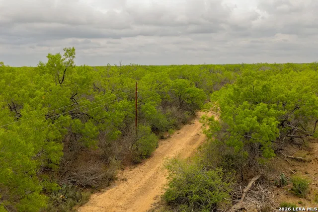 11 FM 1581 Pearsall, TX 78061