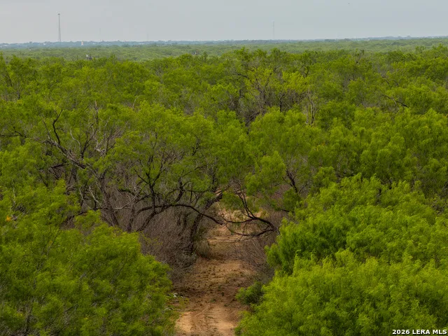 11 FM 1581 Pearsall, TX 78061