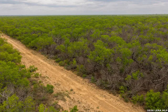 11 FM 1581 Pearsall, TX 78061