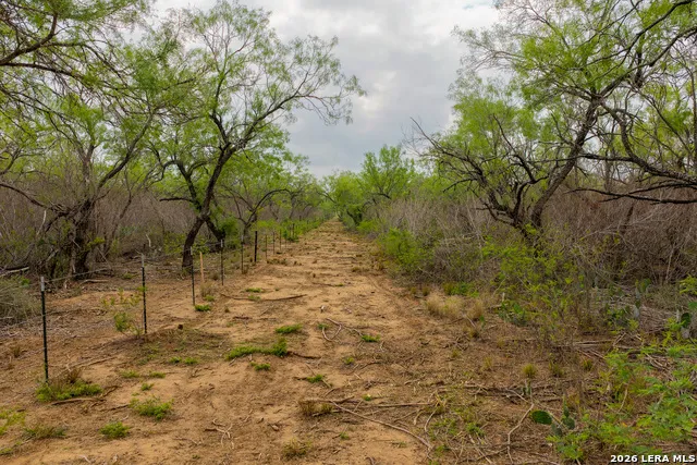 11 FM 1581 Pearsall, TX 78061